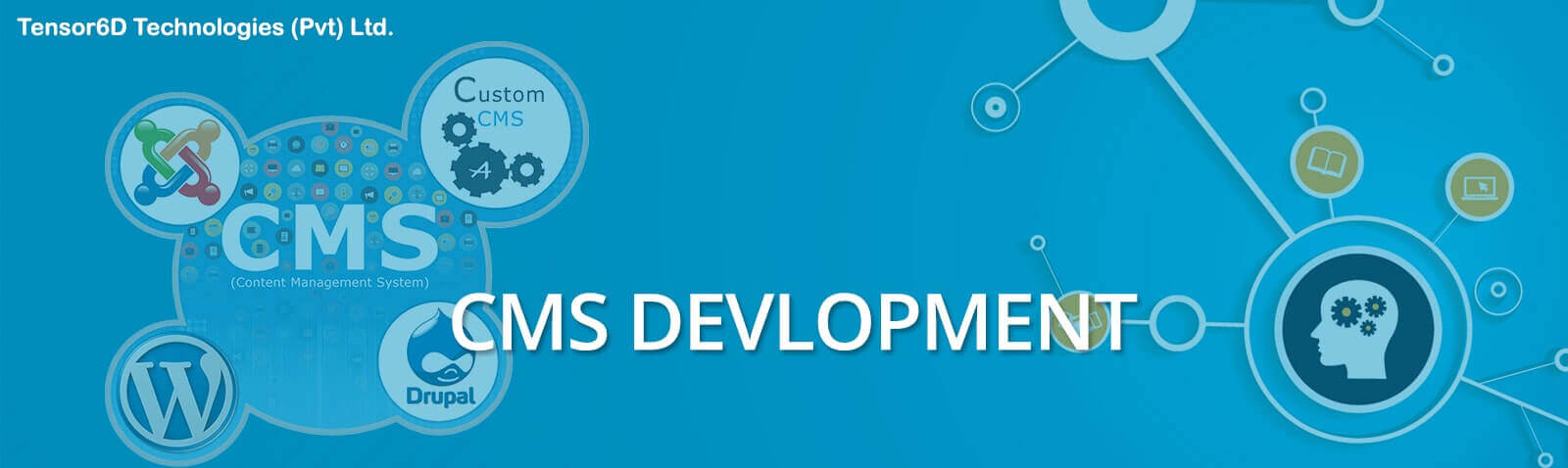 Tensor6D CMS web development