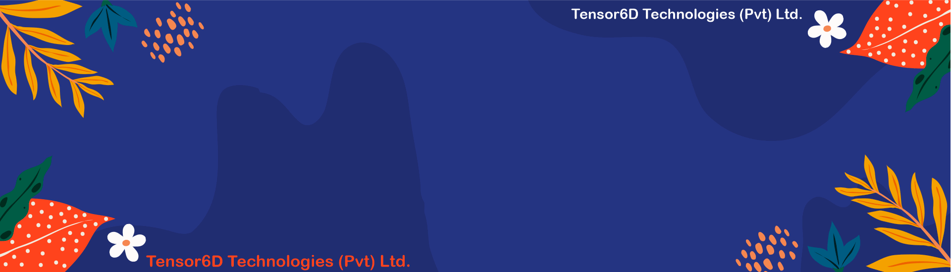 Services Of Tensor6D.com